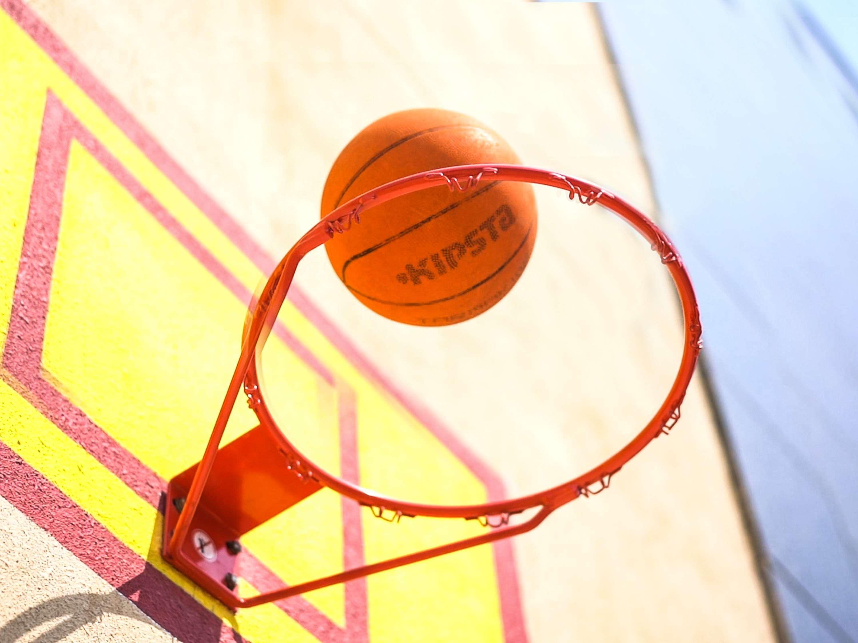 Novotel Chennai Sipcot Екстер'єр фото A basketball entering a hoop