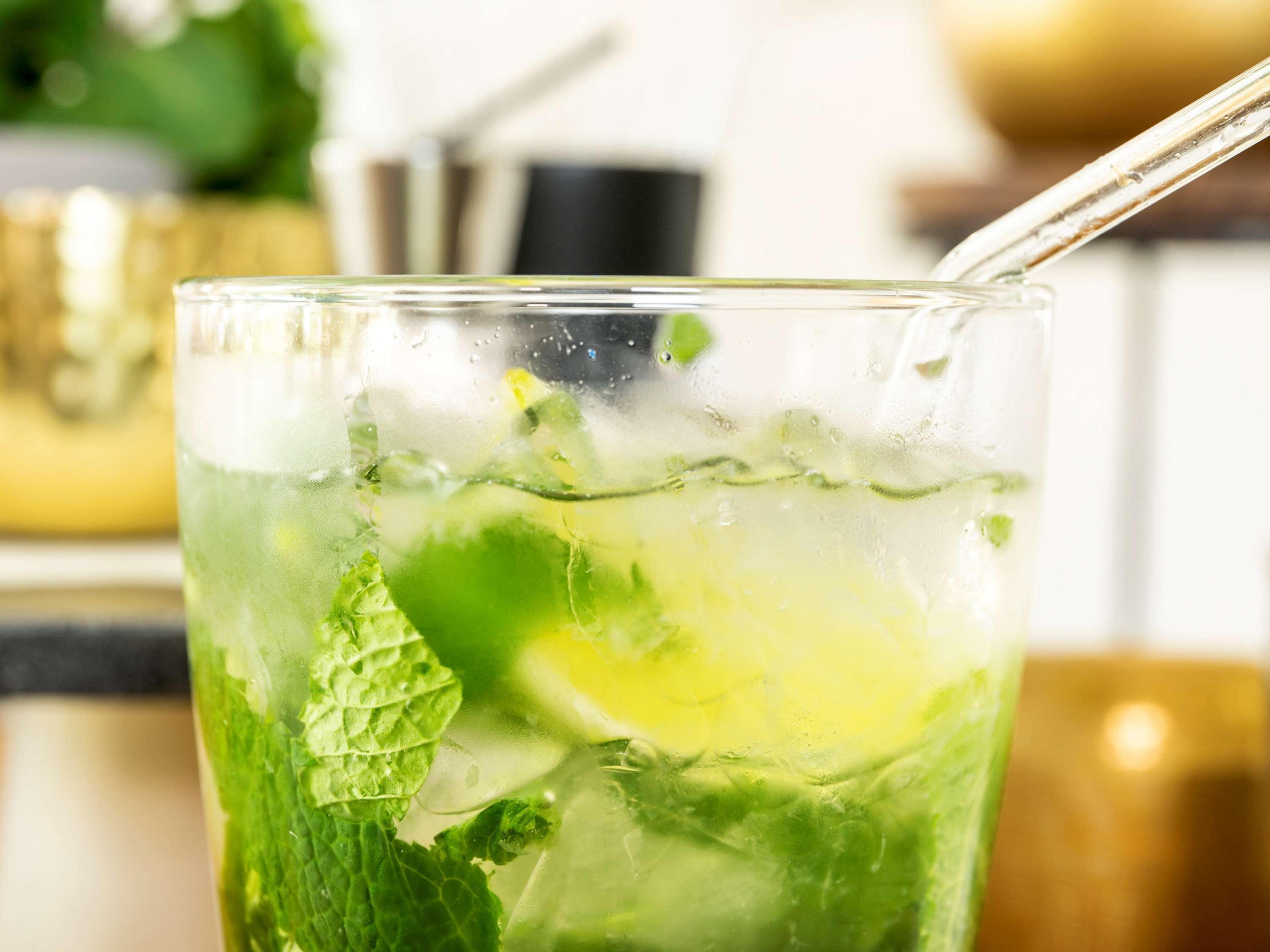 Novotel Chennai Sipcot Екстер'єр фото A mojito