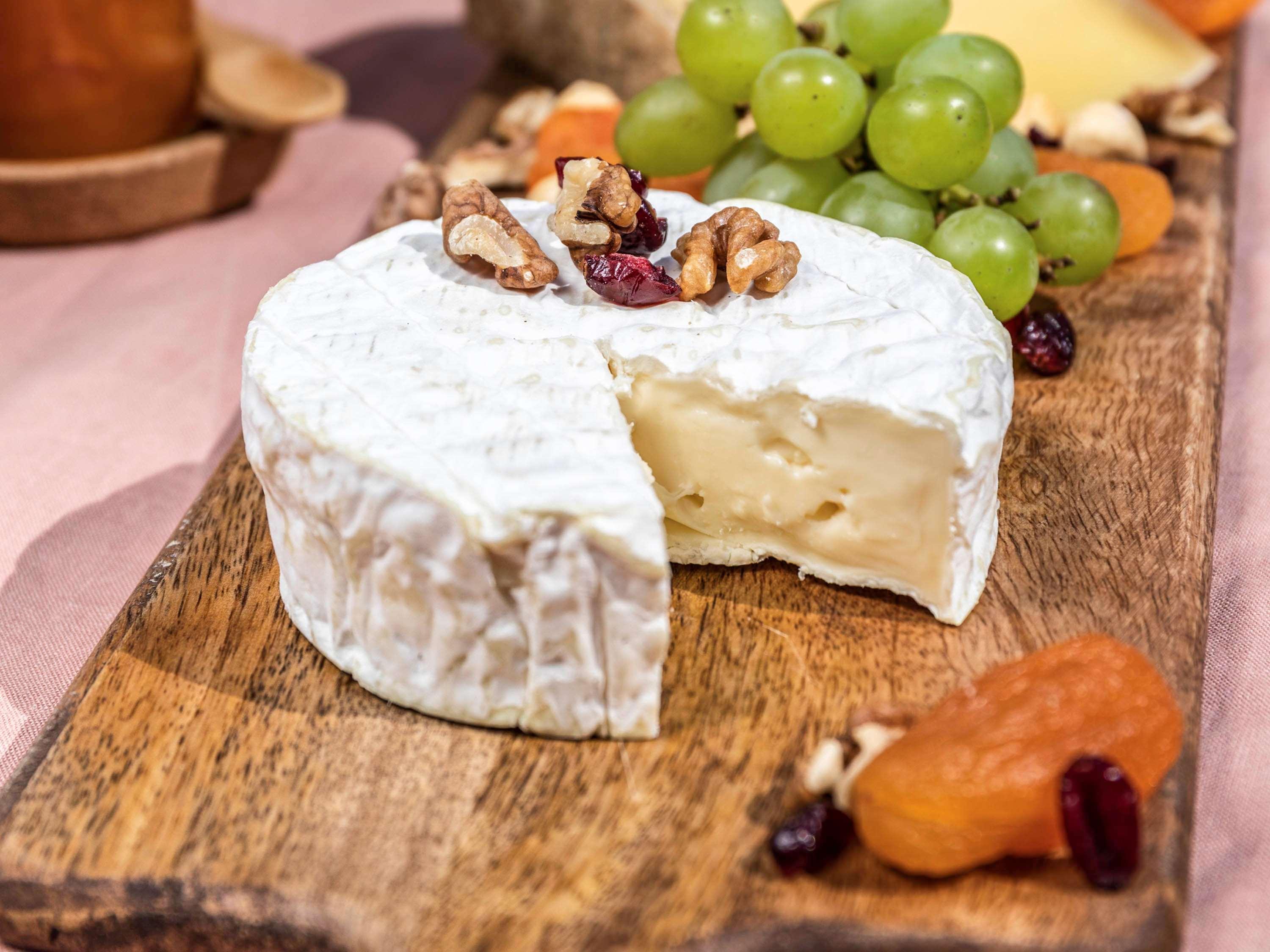 Novotel Chennai Sipcot Екстер'єр фото Camembert cheese