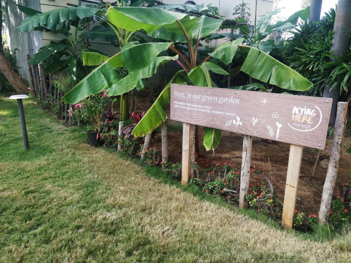 Novotel Chennai Sipcot Екстер'єр фото The Edible Garden at the National Gallery Singapore